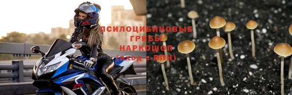 spice Богородицк