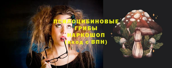 гидропоника Богородск
