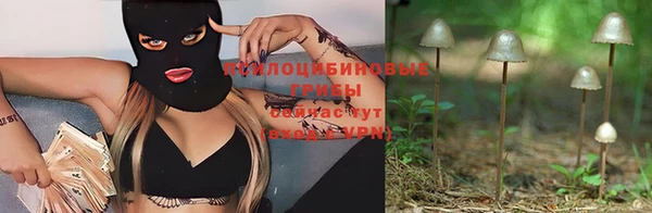 spice Богородицк