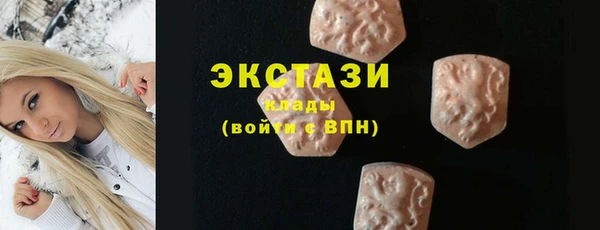 spice Богородицк