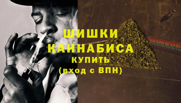 spice Богородицк