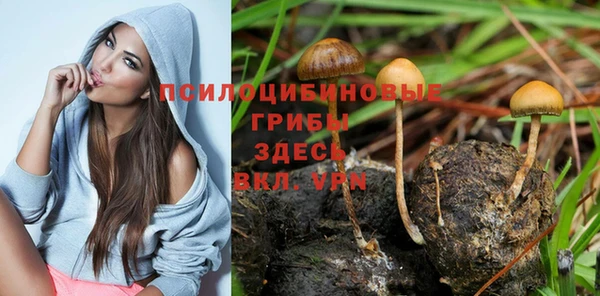 spice Богородицк