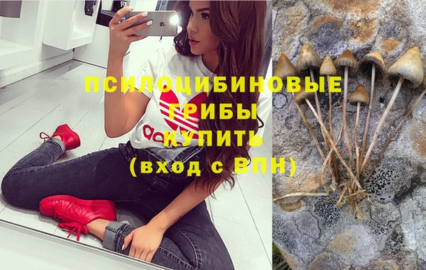 spice Богородицк
