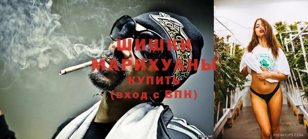 spice Богородицк