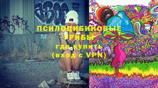 spice Богородицк