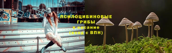 гидропоника Богородск