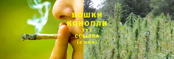 метадон Богданович