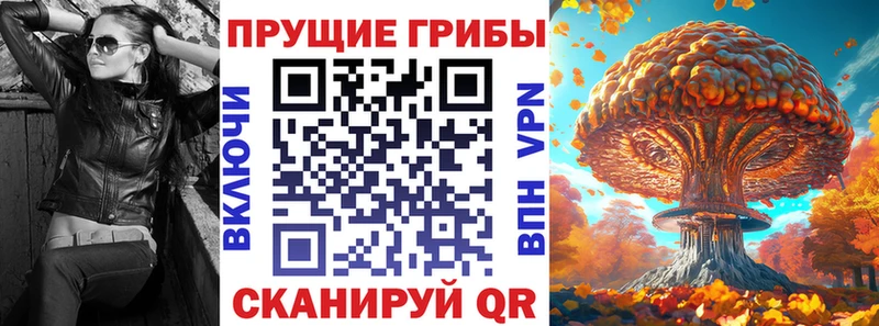 Псилоцибиновые грибы Psilocybine cubensis Купить закладки Тамбов